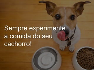 Sempre experimente
a comida do seu
cachorro!
 