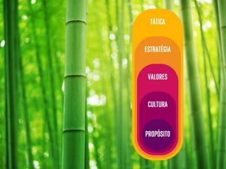 Palestra ENAF - Peter Thomas