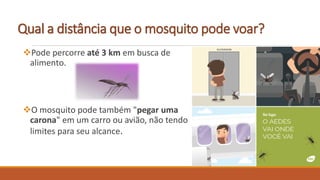 Qual a distância que o mosquito pode voar?
Pode percorre até 3 km em busca de
alimento.
O mosquito pode também "pegar uma
carona" em um carro ou avião, não tendo
limites para seu alcance.
 