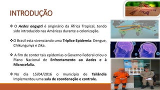 INTRODUÇÃO
 O Aedes aegypti é originário da África Tropical, tendo
sido introduzido nas Américas durante a colonização.
O Brasil esta vivenciando uma Tríplice Epidemia: Dengue,
Chikungunya e Zika.
 A fim de conter tais epidemias o Governo Federal criou o
Plano Nacional de Enfrentamento ao Aedes e à
Microcefalia.
 No dia 15/04/2016 o município de Tailândia
Implementou uma sala de coordenação e controle.
 