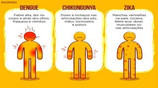 RESUMINDO
 