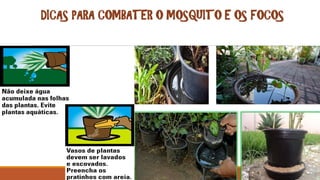 DICAS PARA COMBATER O MOSQUITO E OS FOCOS
 