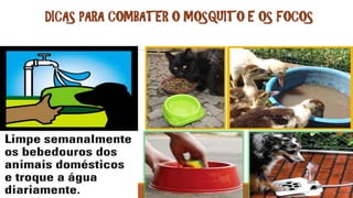 DICAS PARA COMBATER O MOSQUITO E OS FOCOS
 