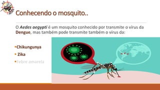 Conhecendo o mosquito..
O Aedes aegypti é um mosquito conhecido por transmite o vírus da
Dengue, mas também pode transmite também o vírus da:
Chikungunya
 Zika
Febre amarela
 
