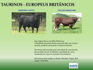 EVOLUÇÃO DAS RAÇAS7