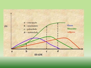 Curva de crescimento de bovinos