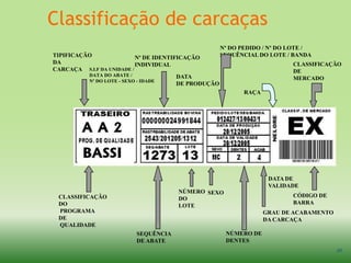 Classificação de carcaças23