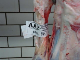 P.Q. AlimentaçãoP.Q.IntegradoP.Q. CriaiiiConsumidorVarejoFrigoríficosEngordaCriaiiiProgramSpecs.ProgramSpecs.ProgramSpecs.Agregação de valor na cadeiaProduçãoPreparoArmazenamentoProcessamentoMarca de Carne i$$$$$$$+$+$+$+$+$+Agregação de valorMarcas de carne / Atualmente24