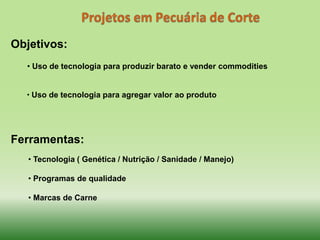 Projetos em Pecuária de CorteObjetivos:  Uso de tecnologia para produzir barato e vender commodities