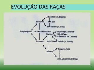 Marcas de CarneProdução AnimalGenética