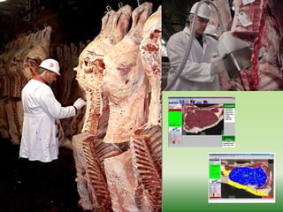 Previsibilidade na carne bovina. É possível?