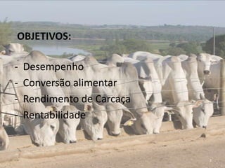OBJETIVOS:

-   Desempenho
-   Conversão alimentar
-   Rendimento de Carcaça
-   Rentabilidade


                            3
 
