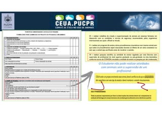 O Estudante não pode realizar atividades
com animais sem a supervisão de um
profissional
 