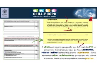 A CEUA avalia o quanto o pesquisador usou do Princípio dos 3’Rs no
planejamento do seu projeto, ou seja, o que fez para substituir,
reduzir e refinar. Lembrando que refinar é aprimorar a técnica
de identificar a dor e o sofrimento e o que fazer para evitá-la! Além
de promover uma técnica que assegure resultados mais precisos!
 