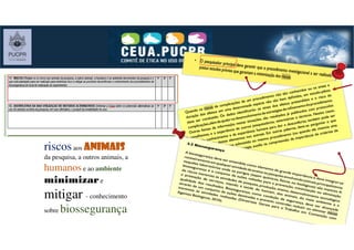 riscosaos animaisanimaisanimaisanimais
da pesquisa, a outros animais, a
humanose ao ambiente
minimizare
mitigar - conhecimento
sobre biossegurança
 
