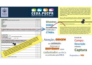 Atençãoa ORIGEMORIGEMORIGEMORIGEM
dos animais!
Atestar que os
biotériosbiotériosbiotériosbiotérios sejam
cadastrados no CIUCA
ou certificados pela CEUA
Silvestres =
SISBIO
Geneticamente
modificados =
CTNBio
Estudo de
Campo-
Descrição
métodos
Captura
Proprietários = TCUTCUTCUTCU
 