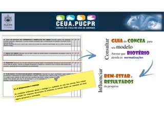 GuiaGuiaGuiaGuia do ConceaConceaConceaConcea para
seu modelo
Atestar que biotériobiotériobiotériobiotério
atenda as normatizações
Consultar
BemBemBemBem----estarestarestarestar e
resultadosresultadosresultadosresultados
da pesquisa
Influenciar
 