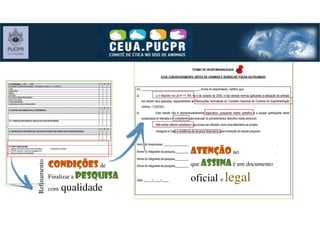 condiçõescondiçõescondiçõescondições de
Finalizar a pesquisapesquisapesquisapesquisa
com qualidade
Refinamento
AtençãoAtençãoAtençãoAtenção ao
que assinaassinaassinaassinaé um documento
oficial e legal
 