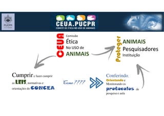 Comissão
Ética
No USO de
ANIMAIS
CEUA
Cumprire fazer cumprir
as leis, normativas e
orientações do CONCEA
Como????Como????Como????Como????
Conferindo,
Orientando e
Monitorando os
protocolos de
pesquisa e aula
ANIMAIS
Pesquisadores
Instituição
Proteger
 