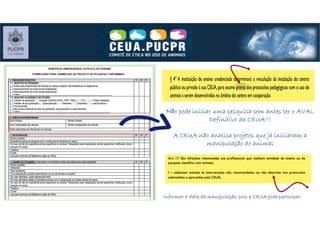 NNNNããããoooo ppppooooddddeeee iiiinnnniiiicccciiiiaaaarrrr uuuummmmaaaa ppppeeeessssqqqquuuuiiiissssaaaa sssseeeemmmm aaaannnntttteeeessss tttteeeerrrr oooo AAAAVVVVAAAALLLL
Definitivo da CEUA!!!Definitivo da CEUA!!!Definitivo da CEUA!!!Definitivo da CEUA!!!
A CEUA não analisa projetos que já iniciaram aA CEUA não analisa projetos que já iniciaram aA CEUA não analisa projetos que já iniciaram aA CEUA não analisa projetos que já iniciaram a
manipulação do animalmanipulação do animalmanipulação do animalmanipulação do animal
Informar a data da manipulação, pois a CEUA pode participarInformar a data da manipulação, pois a CEUA pode participarInformar a data da manipulação, pois a CEUA pode participarInformar a data da manipulação, pois a CEUA pode participar
 