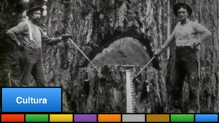Cultura
 