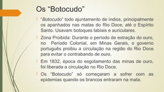 Os “Botocudo”
 “Botocudo” todo ajuntamento de índios, principalmente
os apanhados nas matas do Rio Doce, até o Espírito
Santo. Usavam botoques labiais e auriculares.
 Zona Proibida: Durante o período de extração do ouro,
no Período Colonial, em Minas Gerais, o governo
português proibiu a circulação na região do Rio Doce
para evitar o contrabando de ouro.
 Em 1832, época do esgotamento das minas de ouro,
foi liberada a circulação no Rio Doce.
 Os “Botocudo” só começaram a sofrer com as
epidemias quando os brancos entraram na mata.
 
