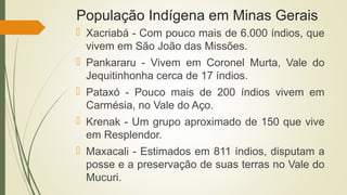 População Indígena em Minas Gerais
 Xacriabá - Com pouco mais de 6.000 índios, que
vivem em São João das Missões.
 Pankararu - Vivem em Coronel Murta, Vale do
Jequitinhonha cerca de 17 índios.
 Pataxó - Pouco mais de 200 índios vivem em
Carmésia, no Vale do Aço.
 Krenak - Um grupo aproximado de 150 que vive
em Resplendor.
 Maxacali - Estimados em 811 índios, disputam a
posse e a preservação de suas terras no Vale do
Mucuri.
 
