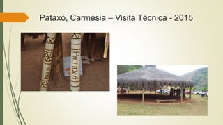 Pataxó, Carmésia – Visita Técnica - 2015
 