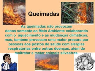 Queimadas

         As queimadas não provocam
danos somente ao Meio Ambiente colaborando
com o aquecimento e as mudanças climáticas,
mas, também provocam uma maior procura por
  pessoas aos postos de saúde com alergias
  respiratórias entre outras doenças, além de
     maltratar e matar animais silvestres.
 