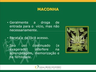 MACONHA
• Geralmente a droga de
entrada para o vício, mas não
necessariamente.
• Barata e de fácil acesso.
• Seu uso continuado (e
exagerado) interfere na
aprendizagem, memorização e
na fertilidade.
 