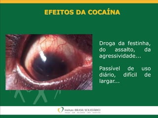 EFEITOS DA COCAÍNA
Droga da festinha,
do assalto, da
agressividade...
Passível de uso
diário, difícil de
largar...
 