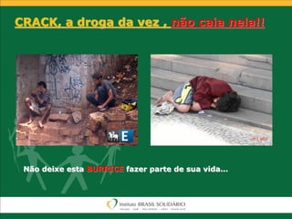 CRACK, a droga da vez , não caia nela!!
Não deixe esta BURRICE fazer parte de sua vida…
 
