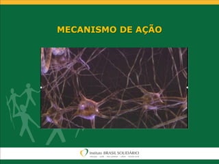 MECANISMO DE AÇÃO
 