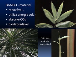 BAMBU - material
 renovável ,
 utiliza energia solar
 absorve CO2
 biodegradável



                           Este sim,
                           material
                          sustentável
 