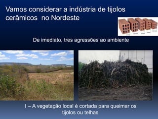 Vamos considerar a indústria de tijolos
cerâmicos no Nordeste


         De imediato, tres agressões ao ambiente




      1 – A vegetação local é cortada para queimar os
                      tijolos ou telhas
 