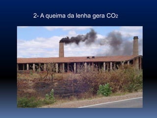 2- A queima da lenha gera CO2
 