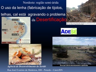 Nordeste: região semi-árida
O uso da lenha (fabricação de tijolos,
telhas, cal está agravando o problema da
                   da Desertificação!




   Agência de Desenvolvimento do Seridó
   Rua José Evaristo de Medeiros, 800 - Penedo - Caicó/RN
 