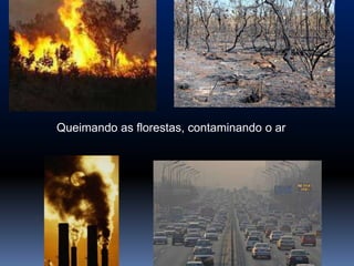 !




Queimando as florestas, contaminando o ar
 