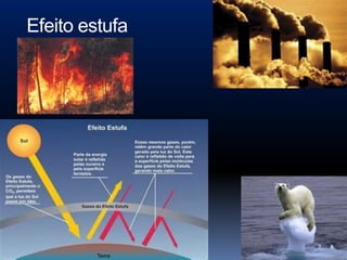 Efeito estufa
 