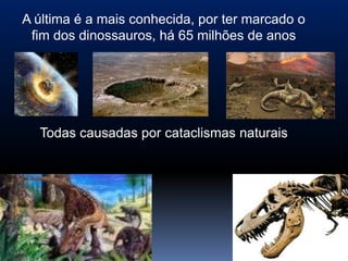 A última é a mais conhecida, por ter marcado o
 fim dos dinossauros, há 65 milhões de anos


                         



    Todas causadas por cataclismas naturais
 
