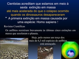 Cientistas acreditam que estamos em meio à
            sexta extinção em massa
  até mais acelerada do que o colapso ocorrido
     quando os dinossauros desapareceram
  A primeira extinção em massa causada por
          uma espécie: Homo sapiens !
Revistas Científicas
 Os anfíbios resistiram bravamente às últimas cinco extinções em
 massa que assolaram o planeta.
                       Hoje, pelo menos um terço dos
                      mais de 6,3 mil espécies de anfíbios
                                está ameaçado.
 