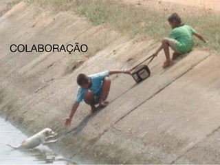 COLABORAÇÃO
 