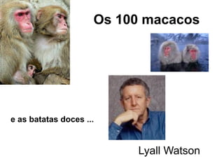 Os 100 macacos




e as batatas doces ...


                          Lyall Watson
 