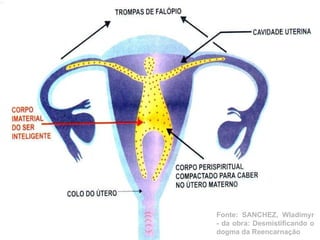 Fonte: SANCHEZ, Wladimyr - da obra: Desmistificando o dogma da Reencarnação 