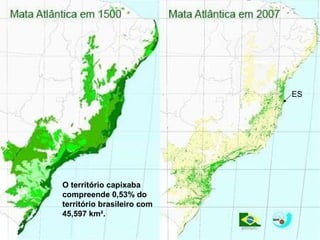 ES O território capixaba compreende 0,53% do território brasileiro com 45,597 km². 