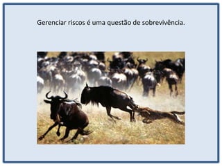 Gerenciar riscos é uma questão de sobrevivência.
 