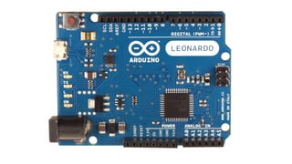 Felipe Nascimento Martins
 