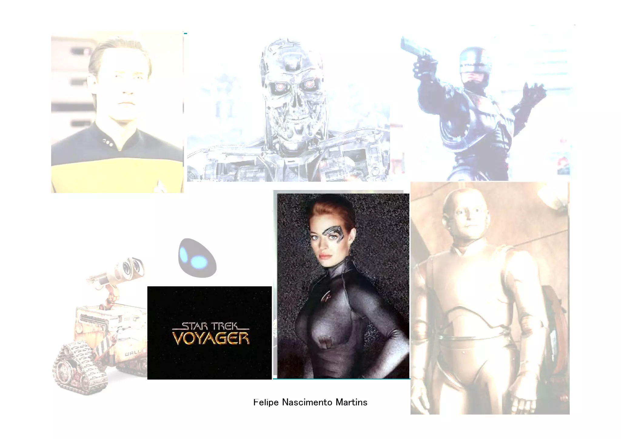 Felipe Nascimento Martins
 