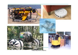 Felipe Nascimento Martins
 