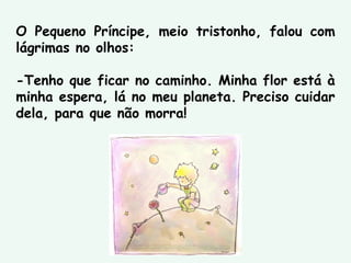 O Pequeno Príncipe, meio tristonho, falou com
lágrimas no olhos:
-Tenho que ficar no caminho. Minha flor está à
minha espera, lá no meu planeta. Preciso cuidar
dela, para que não morra!
 